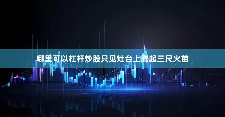 哪里可以杠杆炒股只见灶台上腾起三尺火苗