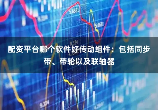 配资平台哪个软件好传动组件：包括同步带、带轮以及联轴器