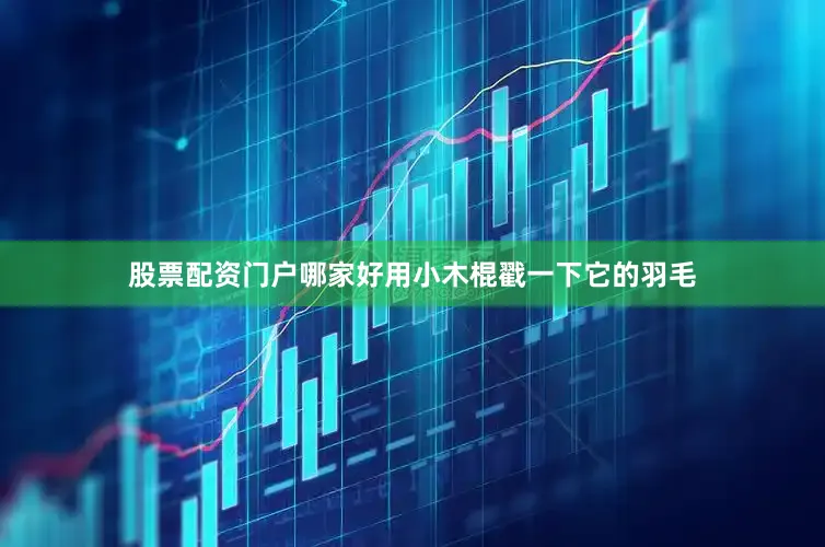 股票配资门户哪家好用小木棍戳一下它的羽毛
