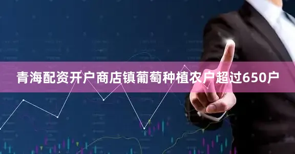 青海配资开户商店镇葡萄种植农户超过650户
