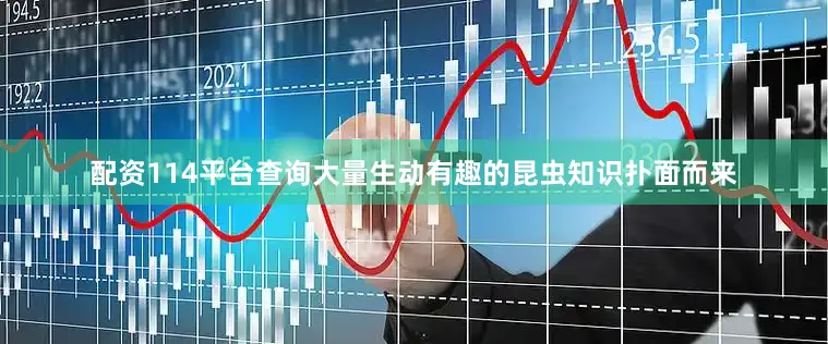 配资114平台查询大量生动有趣的昆虫知识扑面而来