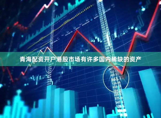 青海配资开户港股市场有许多国内稀缺的资产